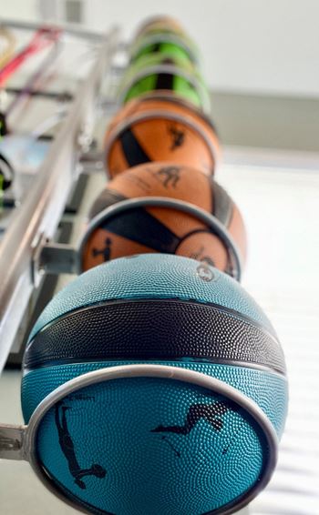 Row of basketballs on a rack